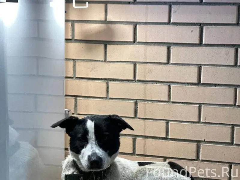 🆘🆘🆘🆘🆘🆘🆘 Ростов-на-Дону! Найден...