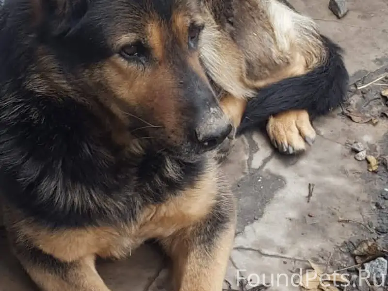 18 января из района Богудония,...