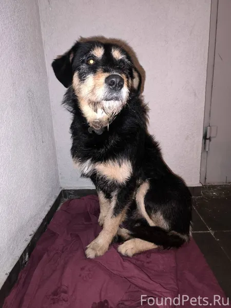 Ребята, поделитесь контактами ...