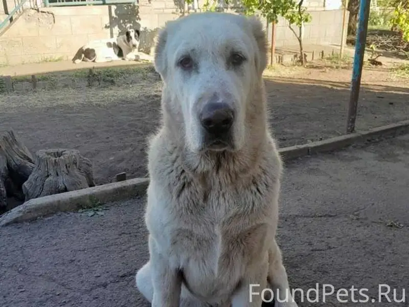 ‼️МАКСИМАЛЬНЫЙ РЕПОСТ‼️ 20 янв...