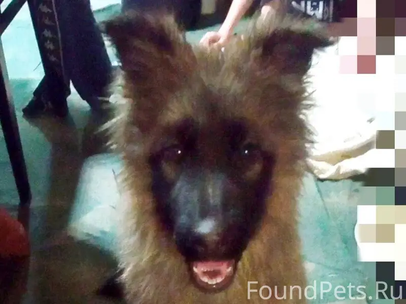 ‼️‼️Продолжаем поиск‼️‼️ Пропа...