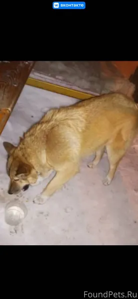 SOS!!! 23.01.2023 в 8...