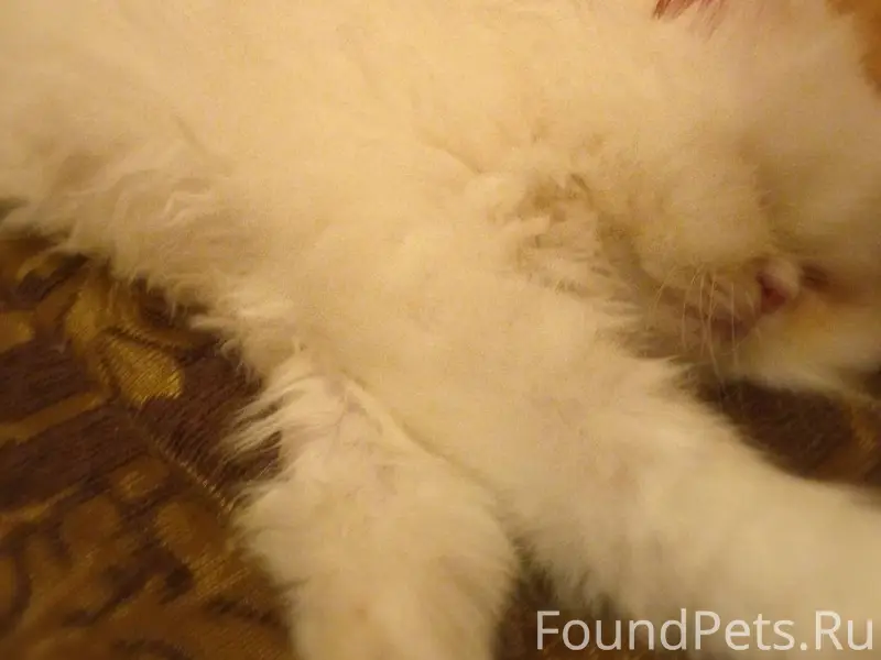 Помогаю информационно. ‼ПРОШУ ...