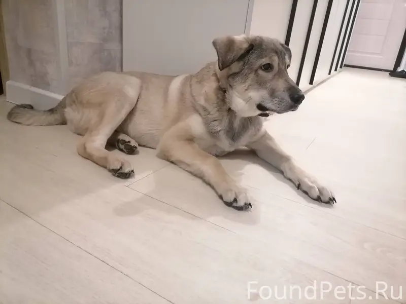 ❗❗❗ Пожалуйста, сделайте, репо...