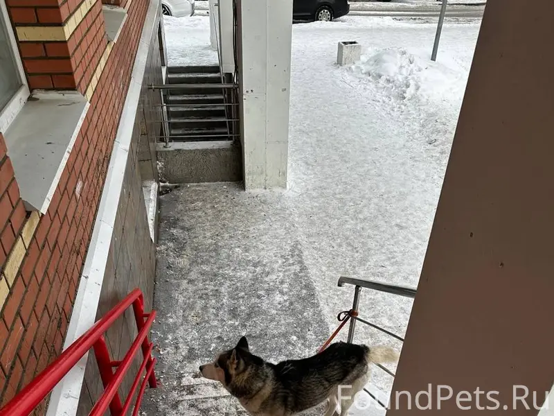 Северодвинск. Ломоносова 85 к....