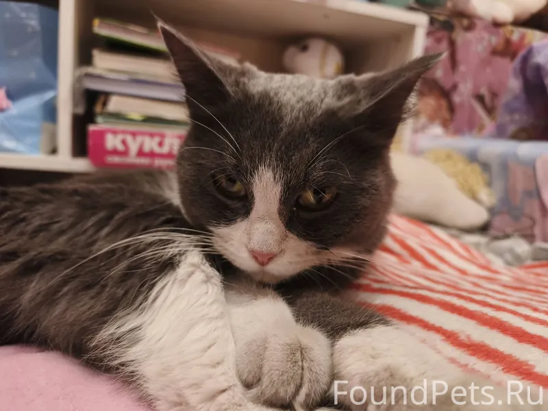 Здравствуйте. Опубликуйте, пож...