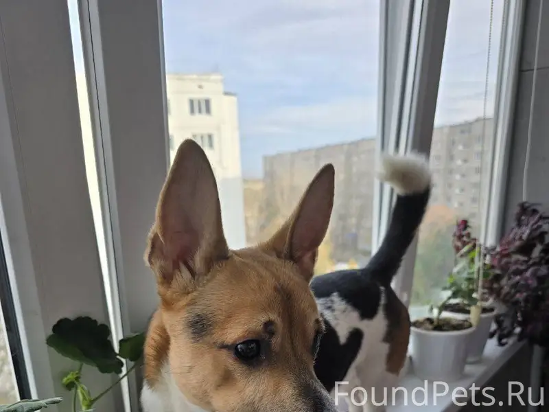 Добрый день! Пожалуйста распро...