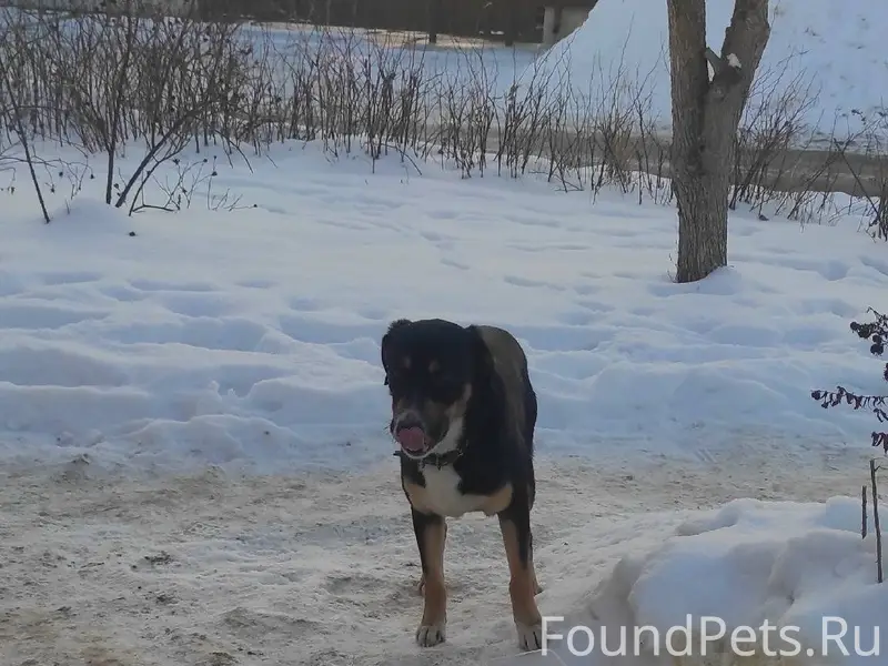 Сегодня на перекрестке 2-я пуш...