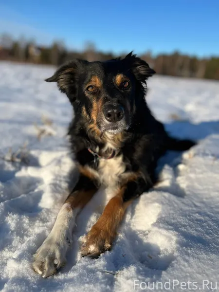 ✨ Квинт ✨ 17.07.2013...