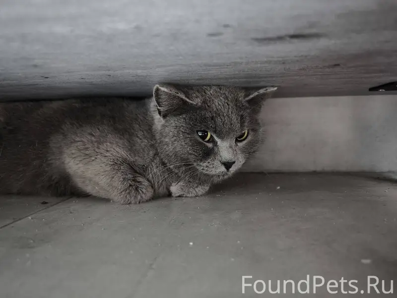 От населения. 24 декабря на ул...