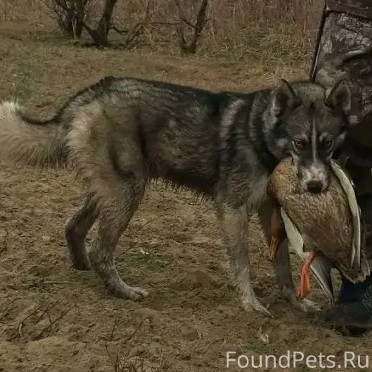 Здравствуйте! Разместите пожал...