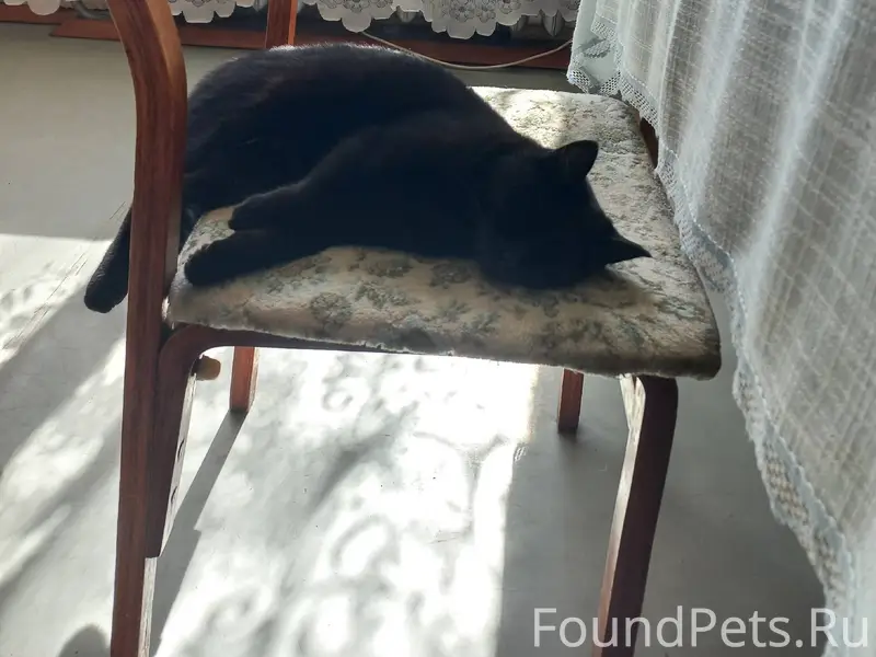 Друзья, у меня 24 января в...