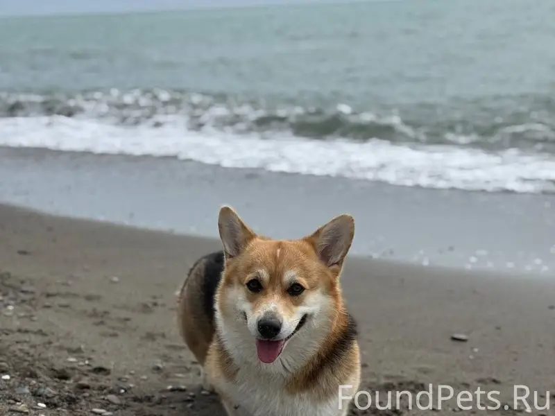 ‼️Уважаемые жители Сочи! Очень...