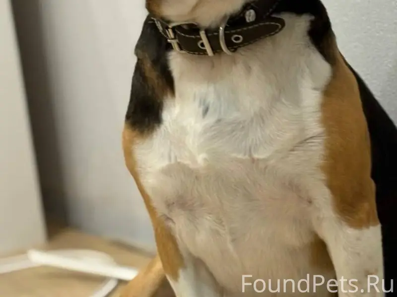 ‼️ ПОВТОРНО ‼️ Тульская област...