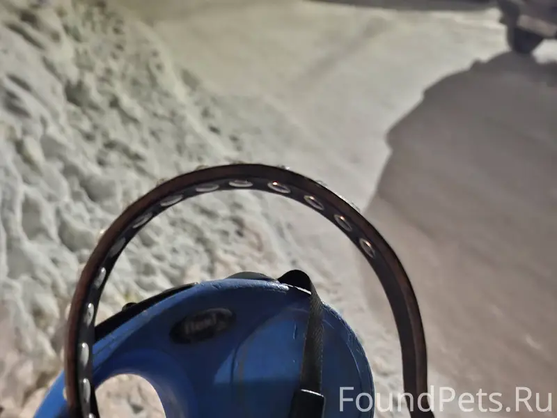 #Бгдпомоги Здравствуйте,убежал...