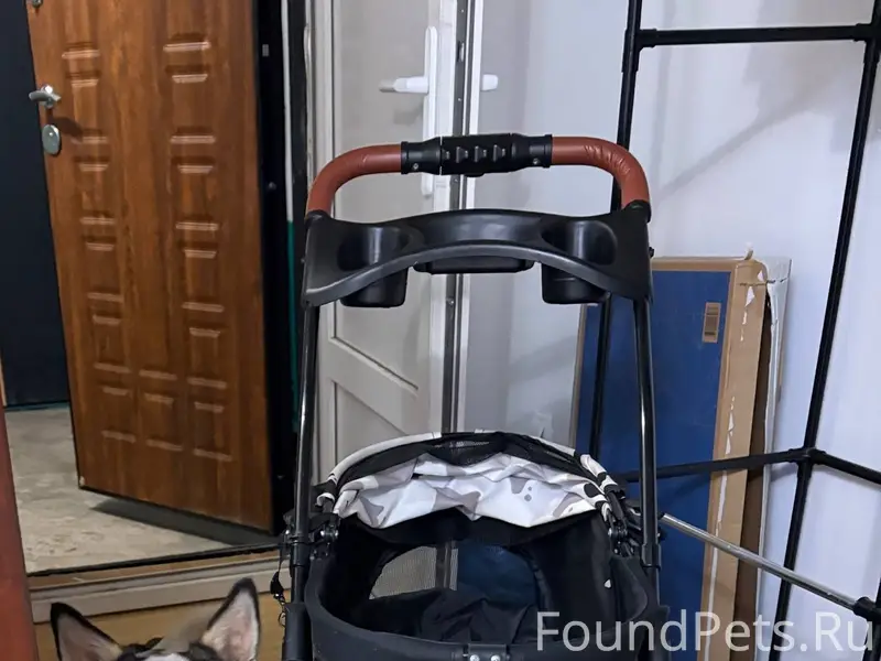 Вилино Найден пес с ошейником,...