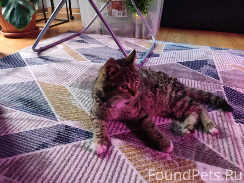 Здравствуйте. Ищу нынешних или...