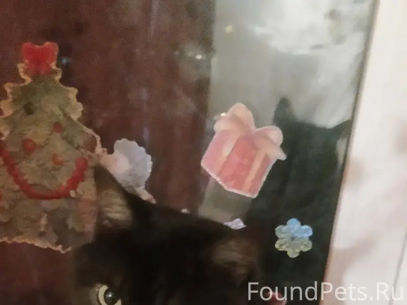 Доброго времени суток.❗❗❗ Проп...