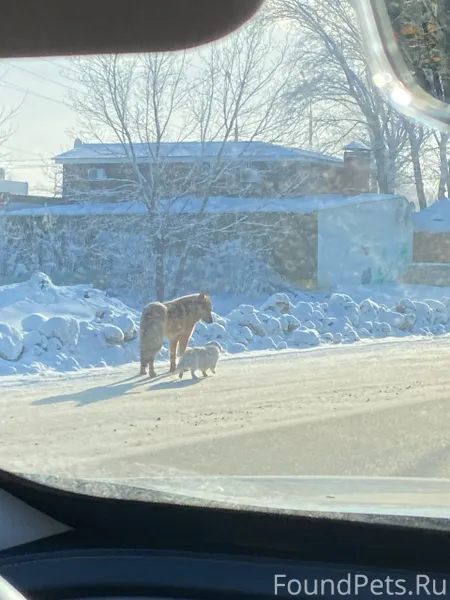 Тольятти, после Парк Хауса пов...