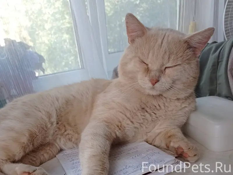 Обращаюсь ко всем не равнодушн...