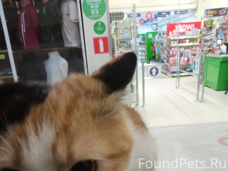 Здравствуйте. Разместите пожал...