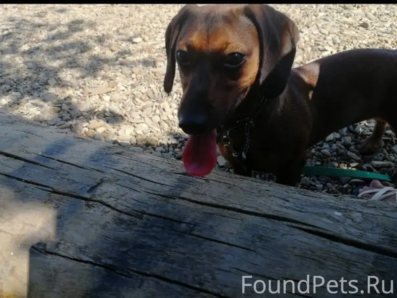 Помогите пожалуйста найти нашу...