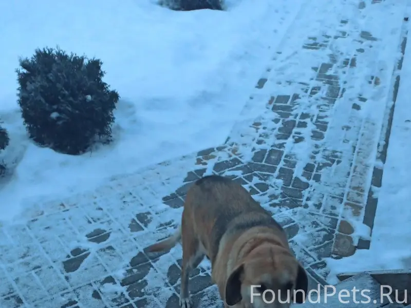 В районе с. Мухоудеровка найде...