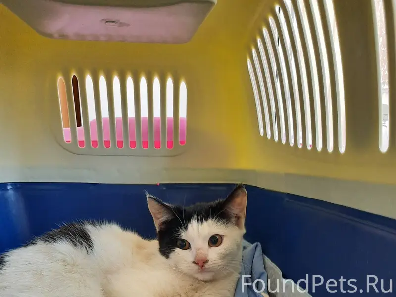 🆘️‼️Тула‼️ Соседи‼🆘️Пожалуйста...