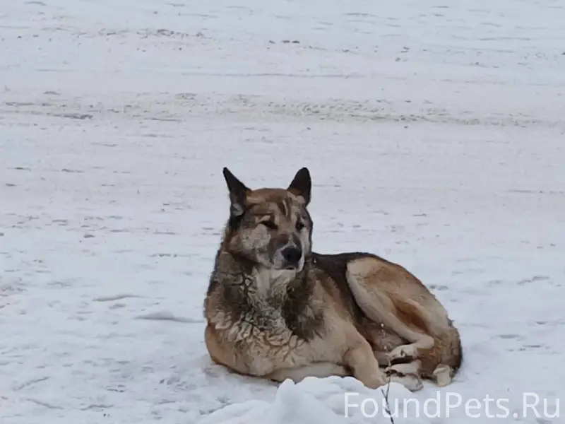 На улице Мичуринцев, Фестиваль...