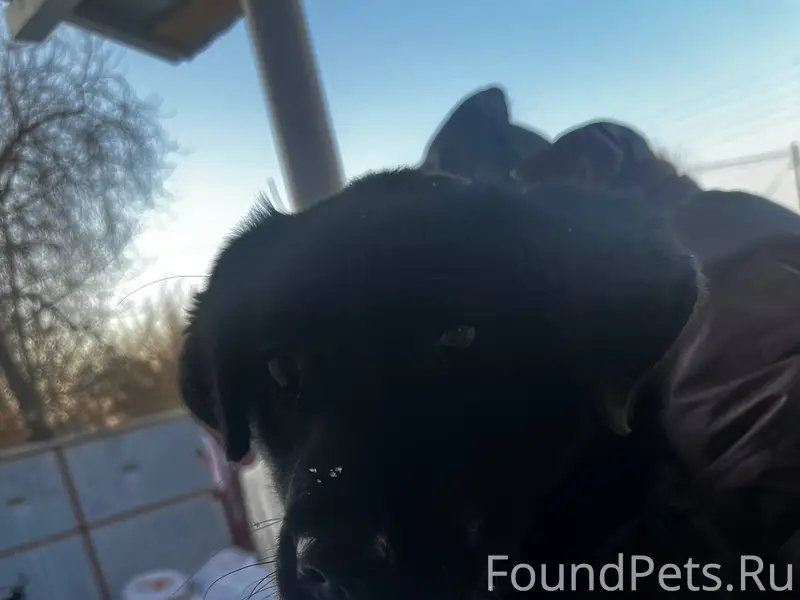 На улице Ломоносова (л. 2) пот...