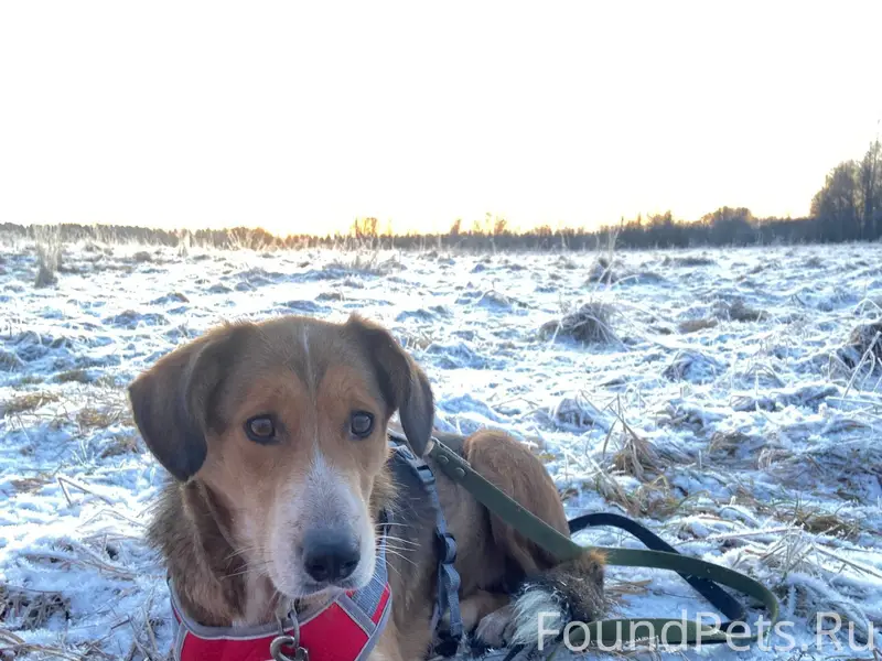 🔴Внимание 🔴 Выборг-Кравцово-Яш...