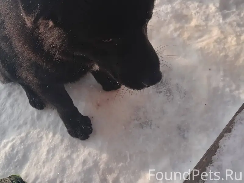 Доброго дня, в пятницу пришел ...