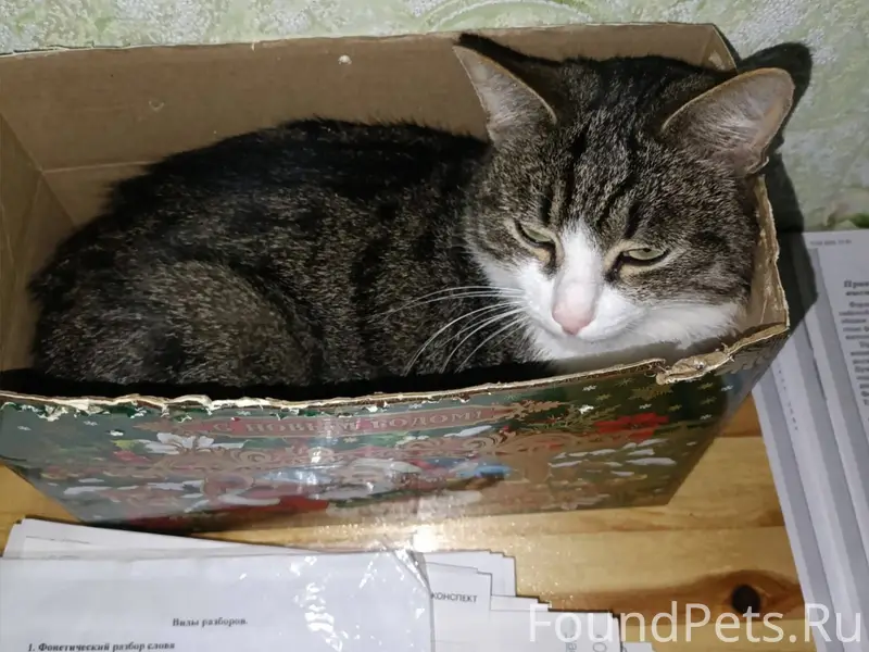 Ржев, Ржевский район, деревня ...