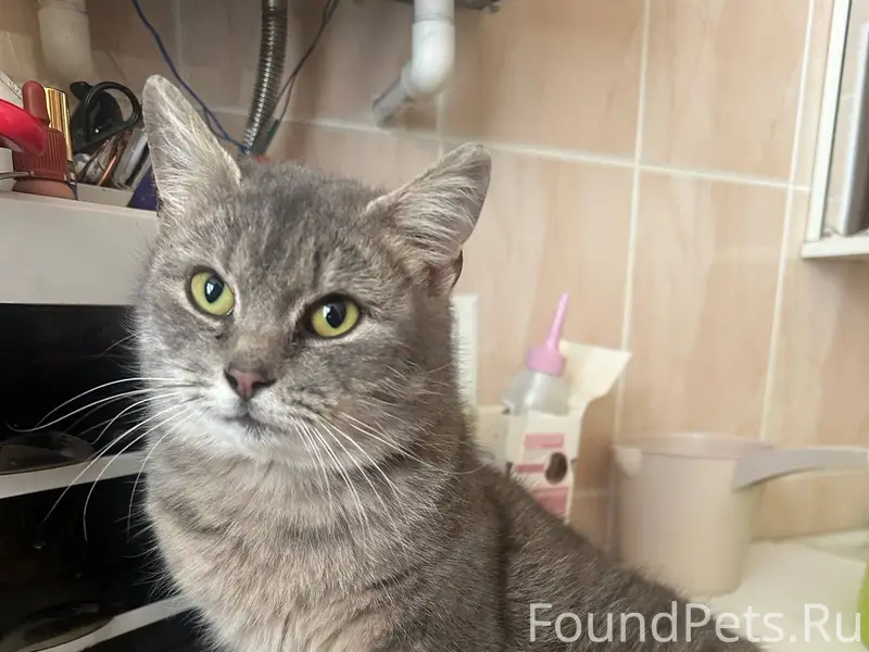 Кто потерял такую красоту?😍 Не...