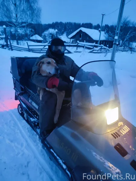 Насыщенные выходные! Волшебная...