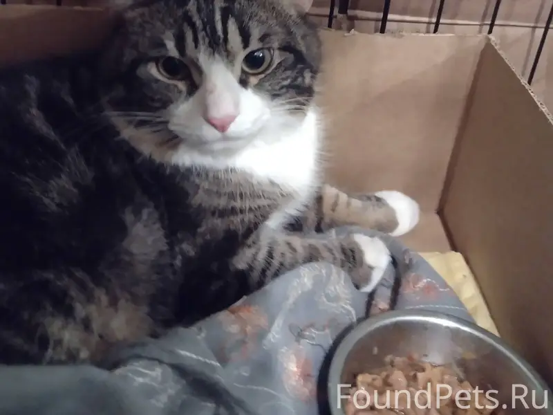 Г. Егорьевск, мкрн 1-4 ‼️...