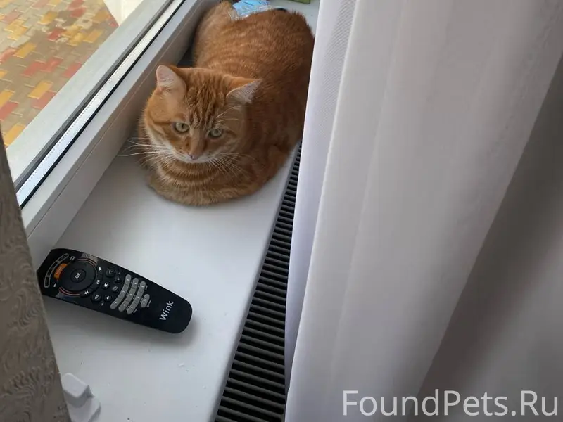 Здравствуйте, прошу администра...