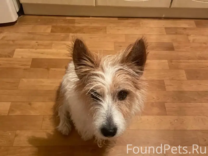 Дорогие жители города Чехов! Н...