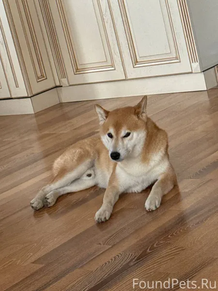 В субботу вечером в районе Вол...