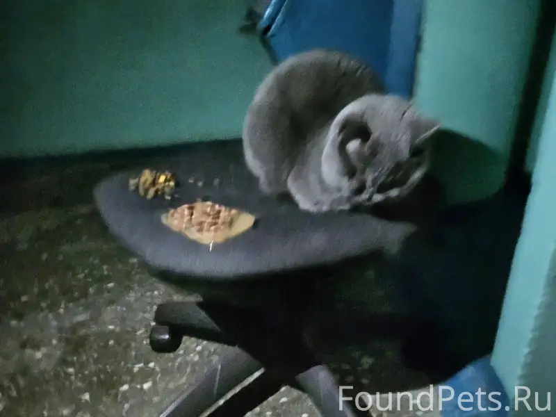 Коломна. В подъезде многоэтажк...