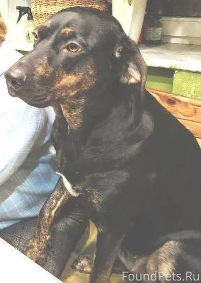 Присмотритесь, пожалуйста, эта...