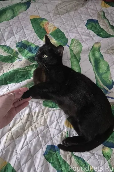 Всем привет! Все банально: у н...