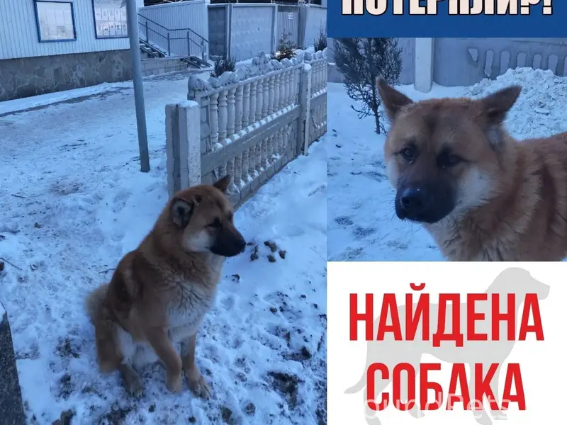 Волгоград. Область. Страна К о...