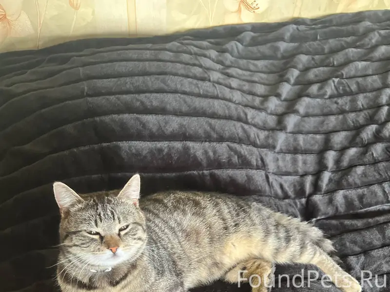 Всем привет! Не по теме, но….....