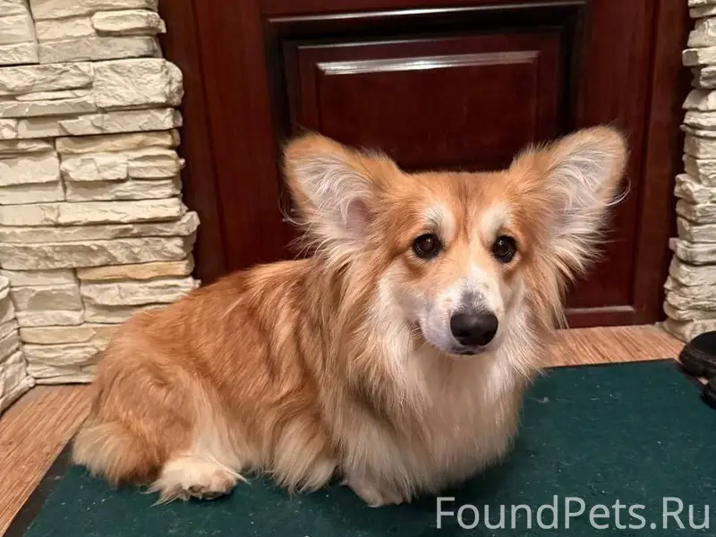 В районе Красного ткача потеря...