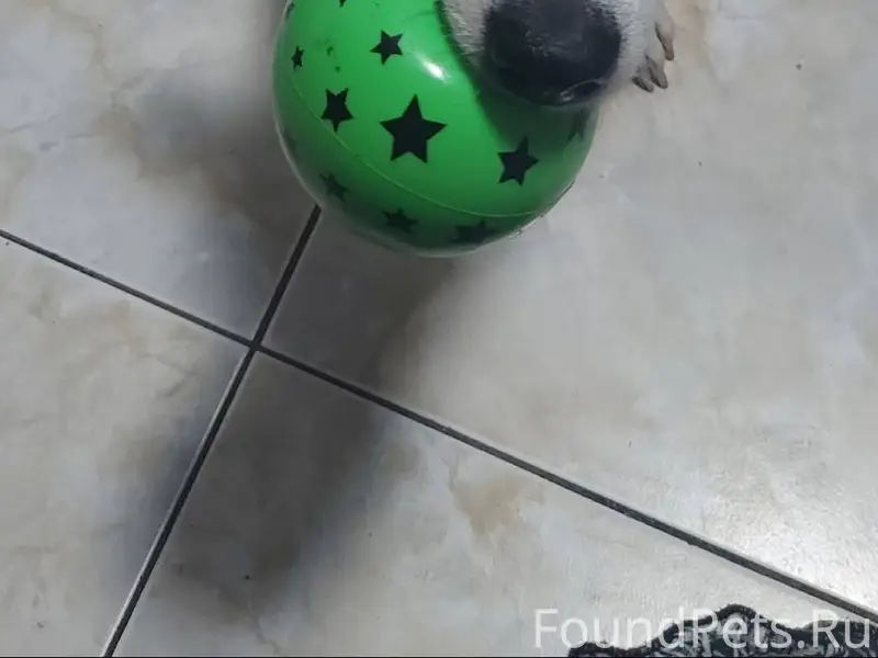 Доброе утро. Разместите пожалу...