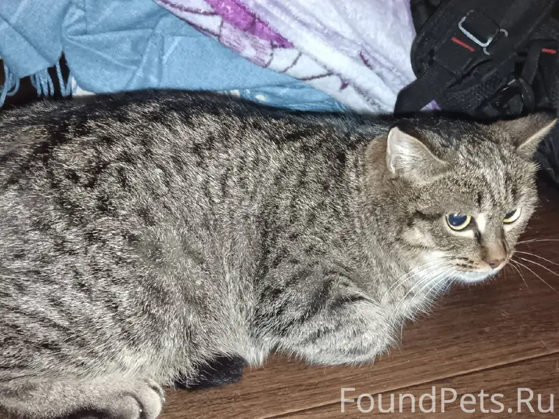 В 3 подъезде по Солнечной 16а....