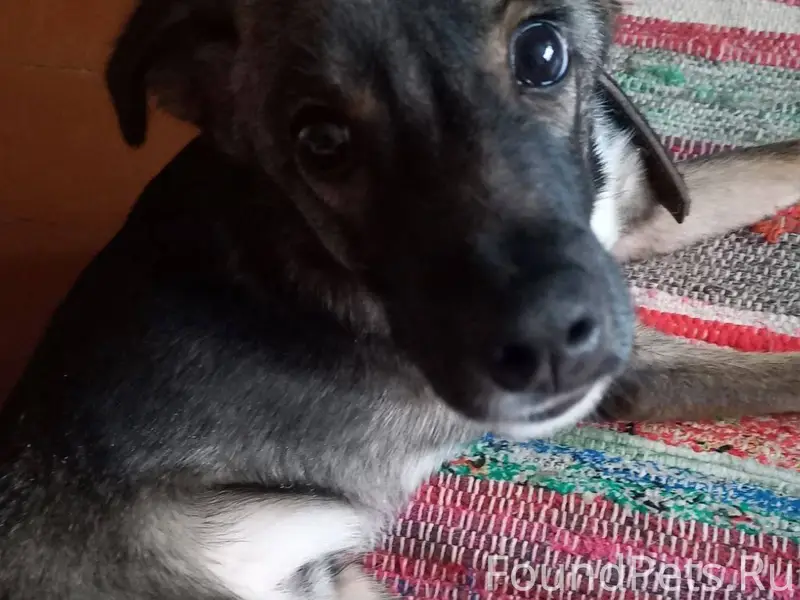 Пост по просьбе . Цемгигант. Н...