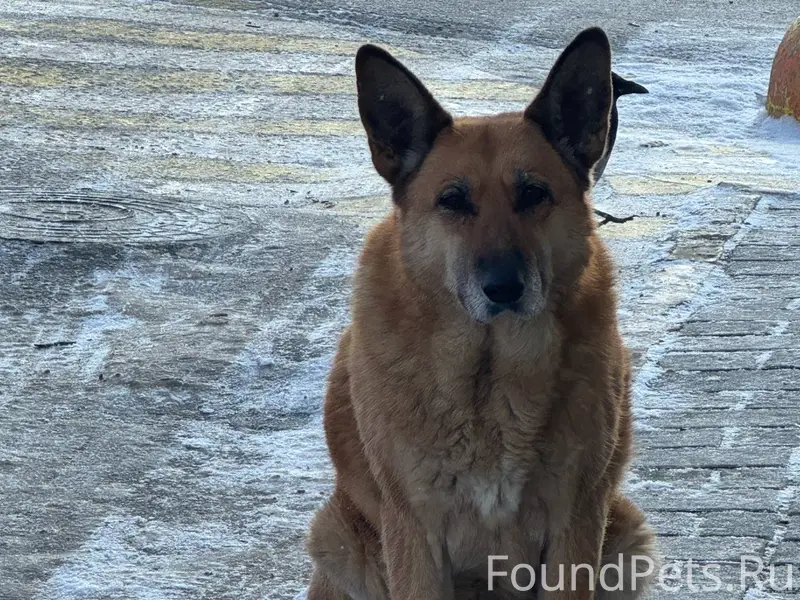 Магазин ДА, Наро-фоминск , Куб...