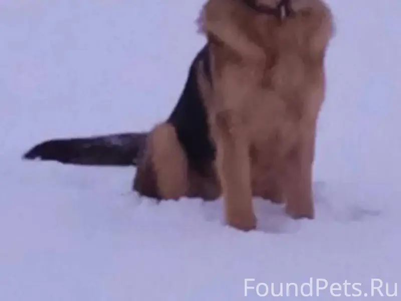 ❗️❗️Очень нужна ваша помощь.❗️...